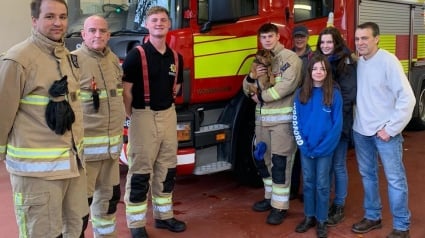 Illustration : Les pompiers se démènent pendant plusieurs heures pour secourir un chien, tombé dans un terrier de lapin