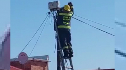 Illustration : Appelés pour un accident, les pompiers voient un chat coincé au sommet d'un poteau téléphonique et lui viennent en aide (vidéo)