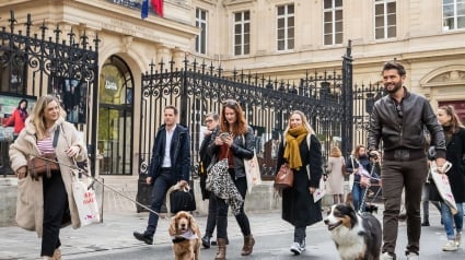 Illustration : Retour sur « La Marche solidaire de l’Animal en Ville » organisée par Mars Petcare pour sensibiliser les Français et les autorités publiques