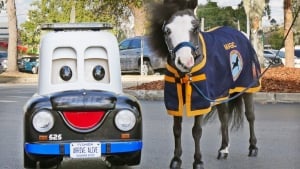 Illustration : "Un cheval de thérapie miniature rejoint les rangs de la police américaine (vidéo)"