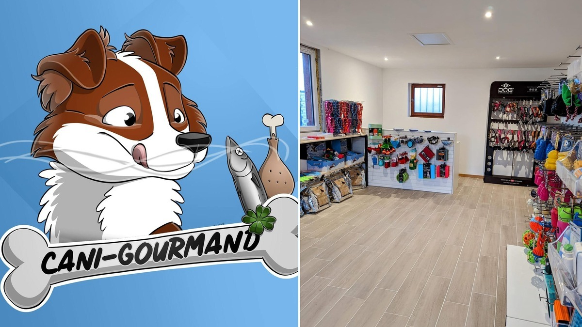 Illustration : "Après le succès de sa boutique en ligne dédié au chien, Cani-gourmand ouvre son premier magasin physique"