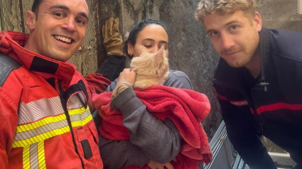 Illustration : Les pompiers interviennent pour mettre fin au calvaire d’un chat, tombé dans un conduit de cheminée