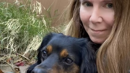 Illustration : Une femme, novice en matière de toutou, porte secours à un chiot perdu (vidéo)