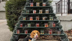 Illustration : Une femme crée un calendrier de l’avent pour gâter les chiens de son quartier