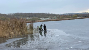 Illustration : Un autre chien piégé par un lac gelé, sa maîtresse tentant de l'aider doit être secourue à son tour