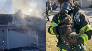 Illustration : Une maison prend feu avec 2 chiens et un chat à l’intérieur, les pompiers interviennent en urgence