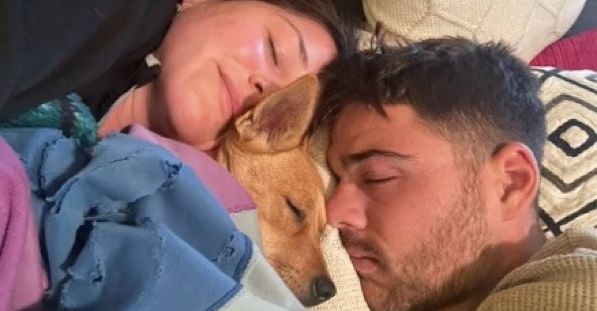 A couple adopts a dog without knowing that she is pregnant (video)