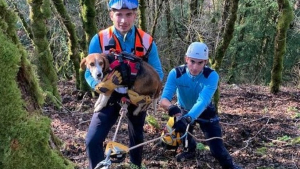 Illustration : Un Beagle en mauvaise posture après avoir poursuivi un animal fait intervenir les sauveteurs spécialisés de la gendarmerie