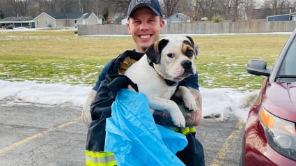 Illustration : Les pompiers se mobilisent pour porter secours à un chien tombé dans un lac gelé