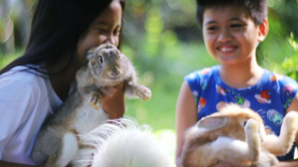 Illustration : 12 photos craquantes d'un duo de lapins heureux en famille
