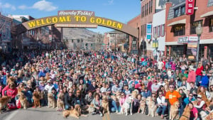 Illustration : Plus de 2000 Golden Retrievers se sont donné rendez-vous lors d’une journée nationale en leur honneur (vidéo)