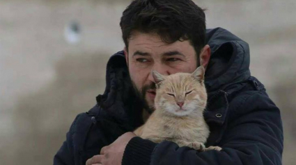 Illustration : Dévasté par les séismes en Syrie, "L'homme à chats d'Alep" redouble d'efforts pour sauver les animaux touchés dans son refuge