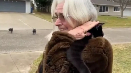 Illustration : À l’occasion des retrouvailles avec son chat, une femme fait une rencontre fortuite qui va changer sa vie