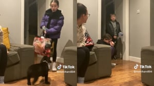 Illustration : L'émouvante réaction d'enfants face à la surprise réservée par leur mère quelques mois après le décès de leur chien (vidéo)