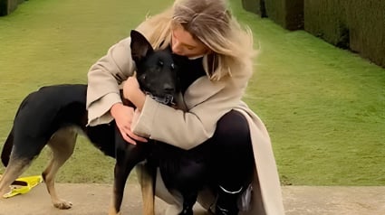 Illustration : Une chienne réactive suscite l’inquiétude de sa maîtresse, prête à tout pour apaiser ses tourments (vidéo)