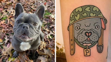 Illustration : 20 animaux de compagnie apparaissant dans des tatouages uniques en leur genre