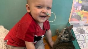 Illustration : "Un chat devient un précieux compagnon pour un enfant qui se bat contre un cancer"