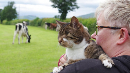 Illustration : Un couple adopte une chatte atteinte de cécité, et raconte le fabuleux quotidien qu’il partage à ses côtés