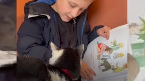 Illustration : Dans ce refuge, les enfants sont invités à lire des histoires aux chats pour calmer leur anxiété