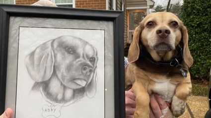 Illustration : Cette chienne âgée a été abandonnée au refuge avec un portrait d’elle qui montre à quel point ses propriétaires l’aimaient