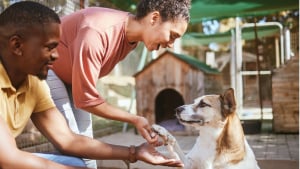 Illustration : "En avril, soutenez l’adoption et offrez un repas aux animaux en refuges avec Hill’s"