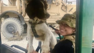 Illustration : Une militaire et son chien entrevoient l'espoir de se retrouver après de multiples rebondissements