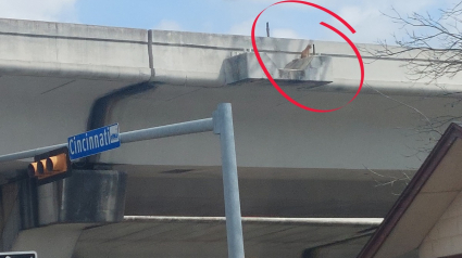 Illustration : Un chat perdu depuis des jours se retrouve bloqué au bord d'un pont et attend une fin heureuse