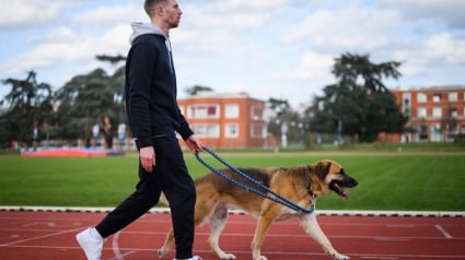 Illustration : Une compagnie aérienne refuse d’embarquer le chien guide d’un champion handisport français et crée la polémique