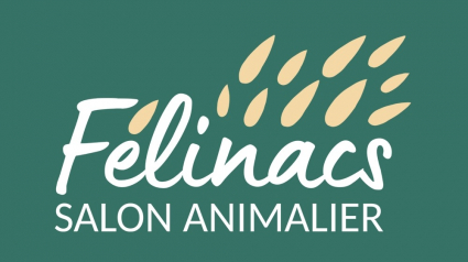 Illustration : Félinacs, le salon dédié au bien-être des animaux de compagnie, se déroulera le 14 mai prochain près de Nantes