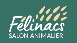 Illustration : "Félinacs, le salon dédié au bien-être des animaux de compagnie, se déroulera le 14 mai prochain près de Nantes"