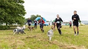 Illustration : Des milliers de passionnés réunis au Woofest Lyon pour célébrer leur amour des canidés et du sport canin