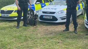 Illustration : Un chien policier s'enferme dans une voiture de patrouille, nécessitant l'intervention d'un mécanicien