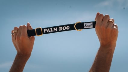 Illustration : Palm Dog by Dogamí : les chiens stars du cinéma habillés par la marque française French Bandit