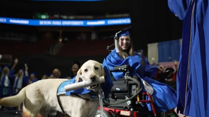 Illustration : La merveilleuse amitié entre une étudiante en fauteuil roulant et son chien d'assistance récompensée par un double diplôme