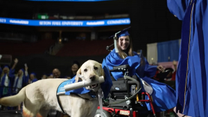 Illustration : La merveilleuse amitié entre une étudiante en fauteuil roulant et son chien d'assistance récompensée par un double diplôme