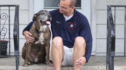 Illustration : Les habitants d'un quartier se réunissent pour faire leurs adieux à un chien atteint d'un cancer en phase terminale (vidéo)