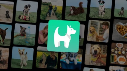 Illustration : Gros plan sur Hundeo, l’application qui révolutionne l’éducation canine et renforce la relation Homme-chien