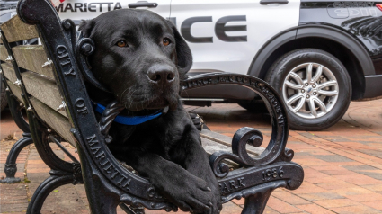 Illustration : Un chien policier au grand cœur intervient auprès d'une femme prête à mettre fin à ses jours