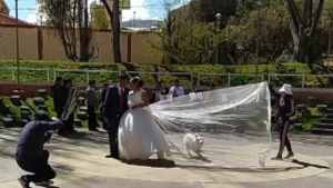 Illustration : Un chien s'invite à un shooting de mariage et rend le moment encore plus mémorable (vidéo)