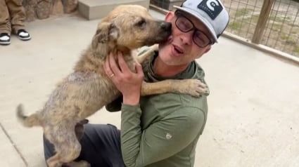 Illustration : Ce chien ne peut contenir sa joie lorsqu'il rencontre sa famille d'accueil pour la première fois (vidéo)