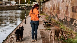 Illustration : À Strasbourg, les touristes peuvent confier leur chien à Patch Guard pendant qu’ils visitent la ville