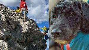 Illustration : Des secouristes bénévoles se lancent à la recherche d'un chien victime d'une chute vertigineuse de 180 mètres en montagne