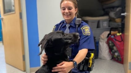 Illustration : "Quelque chose de spécial se produit" lorsqu'un un chiot abandonné rencontre une agente de police