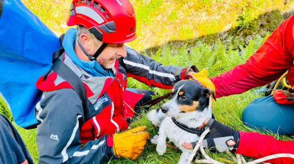 Illustration : Le dévouement des secouristes pour sauver un chien qui a fait une chute vertigineuse de 60 mètres depuis le haut d'une cascade