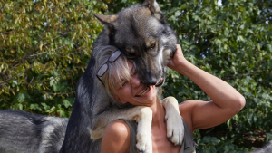 Illustration : "Des chiens dévoués font tout leur possible pour sauver leur maîtresse piquée par un frelon et deviennent ses héros !"