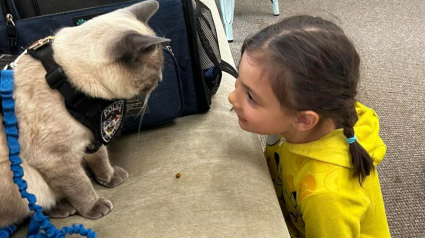 Illustration : Un chat policier au grand cœur apporte joie et réconfort dans un centre pour enfants autistes