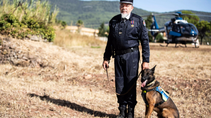 Illustration : Un chien militaire reçoit la médaille de la défense nationale pour son engagement au sein de la Gendarmerie