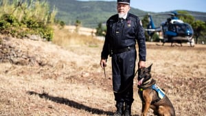 Illustration : Un chien militaire reçoit la médaille de la défense nationale pour son engagement au sein de la Gendarmerie