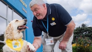 Illustration : Cette chienne de thérapie apporte sourires et réconfort aux personnes âgées et handicapées