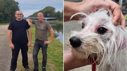 Illustration : Des amis voient leur partie de pêche interrompue lorsqu’ils surprennent un homme en train de jeter son chien dans un canal